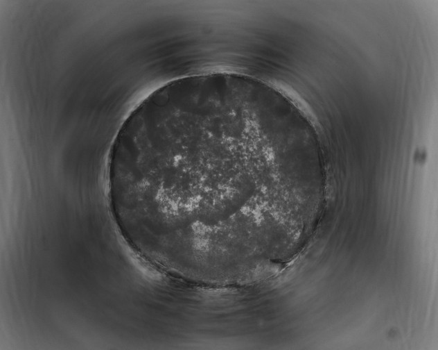 X0000100491031200806201648