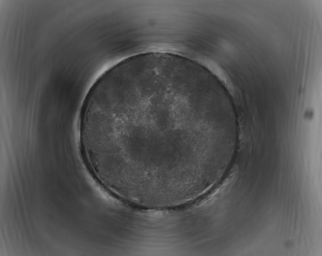X0000100491032200806201648