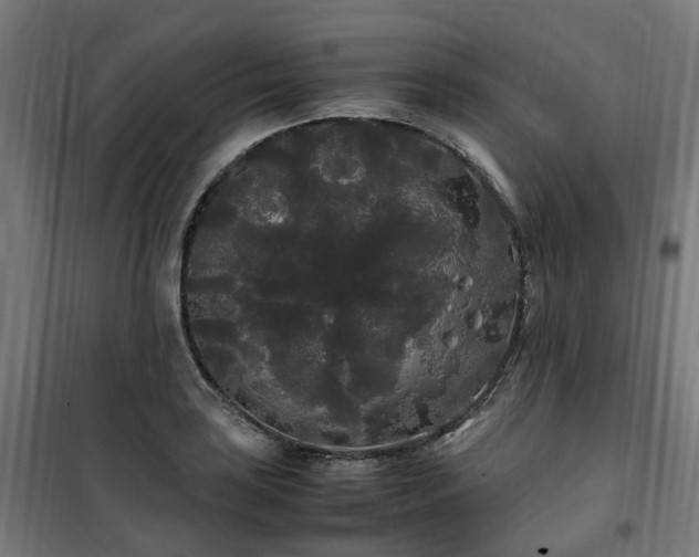 X0000100491035200806201648