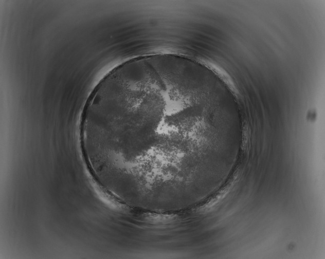 X0000100491039200806201648