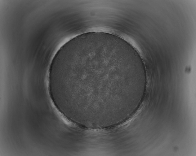 X0000100491040200806201648
