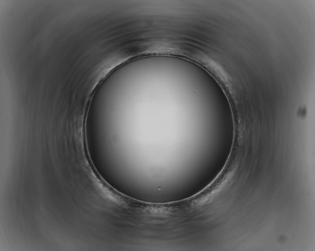 X0000100491041200806201648
