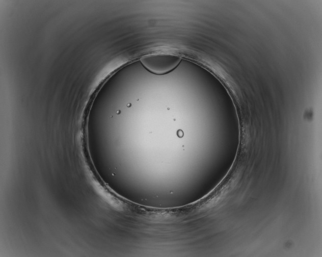 X0000100491042200806201648
