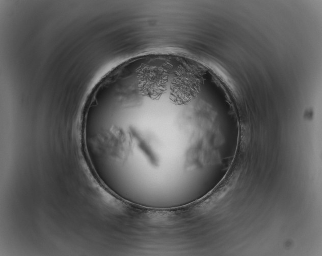 X0000100491046200806201648