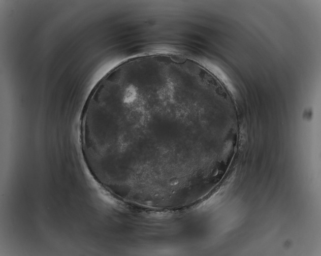 X0000100491047200806201648