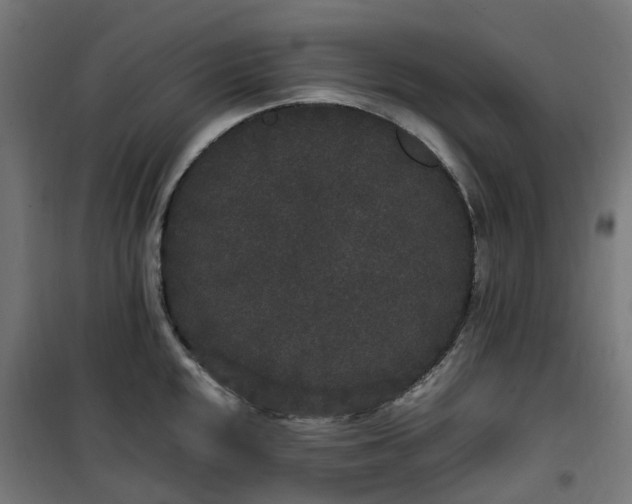 X0000100491048200806201648