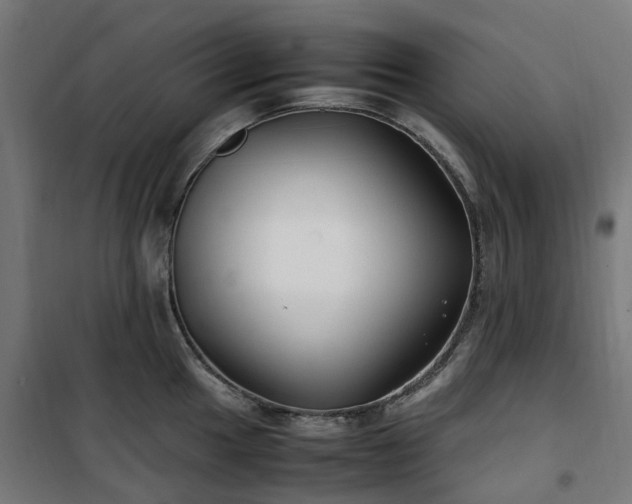 X0000100491049200806201648