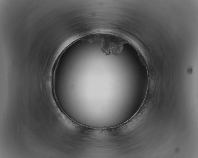 X0000100491050200806201648
