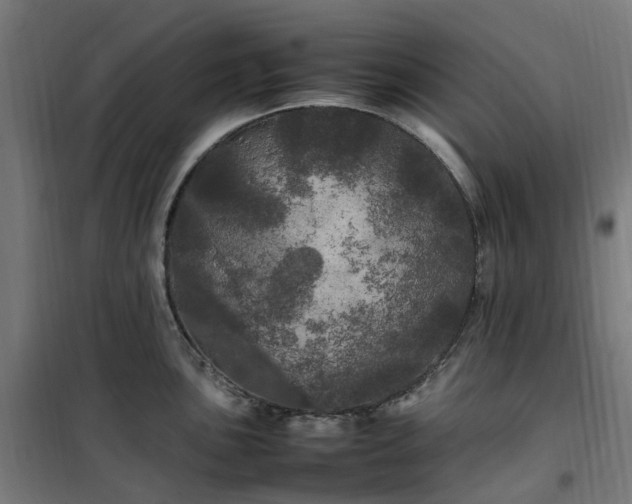 X0000100491051200806201648