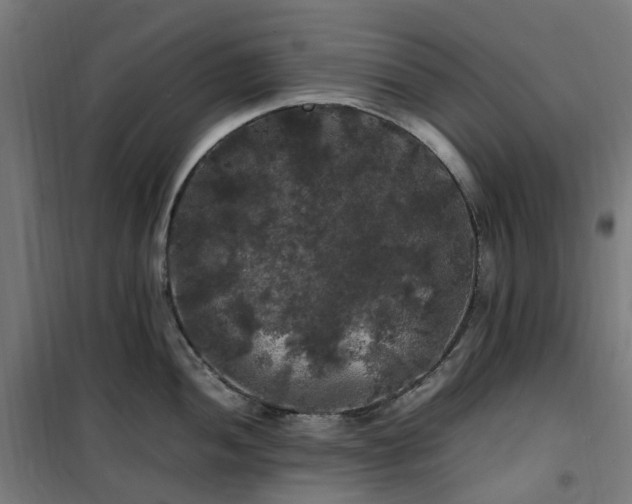 X0000100491052200806201648