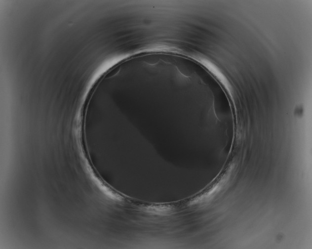 X0000100491053200806201648