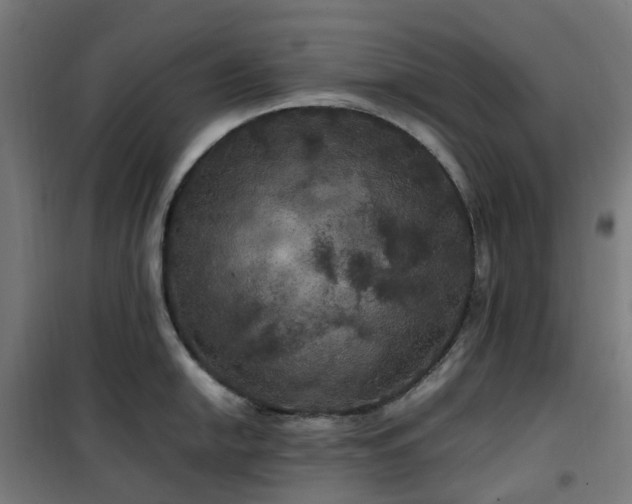 X0000100491054200806201648
