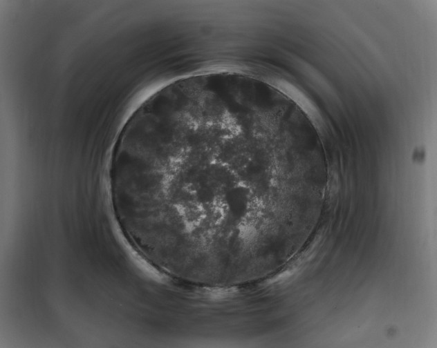 X0000100491055200806201648
