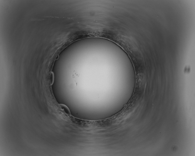 X0000100491057200806201648