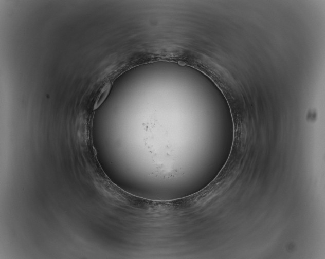X0000100491058200806201647