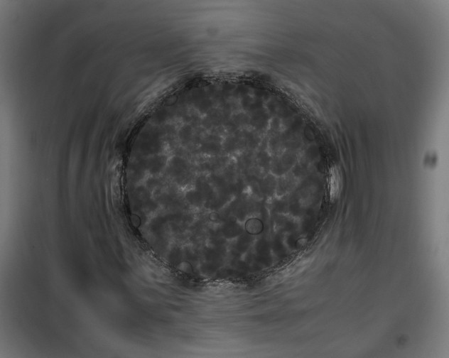 X0000100491059200806201647