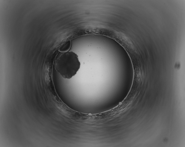 X0000100491060200806201647