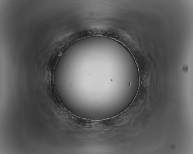 X0000100491061200806201647