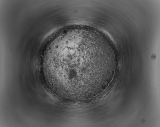 X0000100491064200806201647