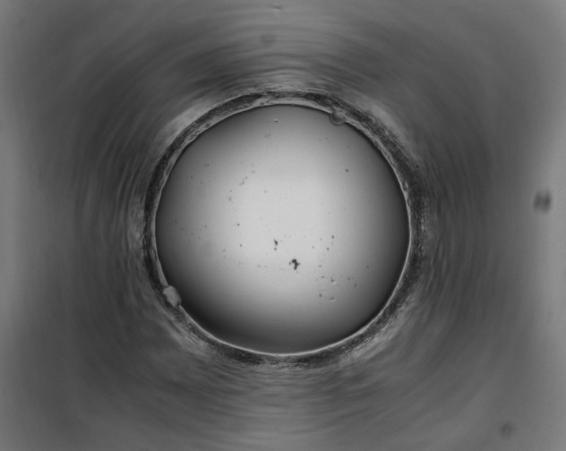 X0000100491065200806201647