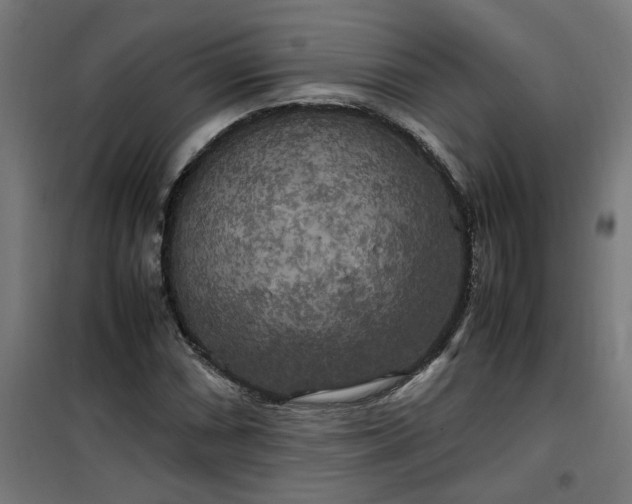 X0000100491066200806201647