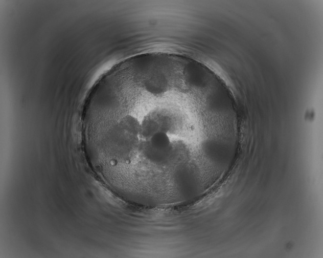 X0000100491067200806201647