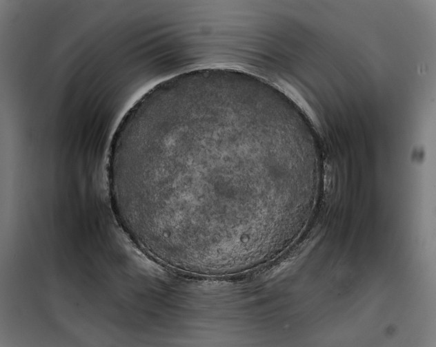 X0000100491068200806201647