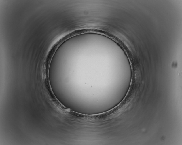 X0000100491069200806201647