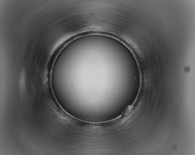 X0000100491070200806201647
