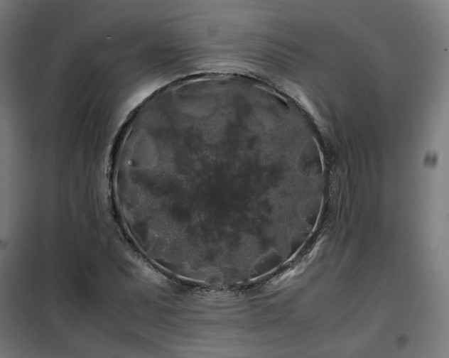 X0000100491071200806201647