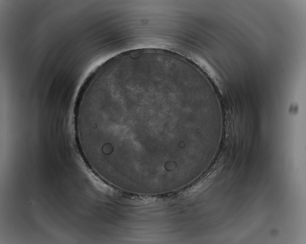 X0000100491072200806201647