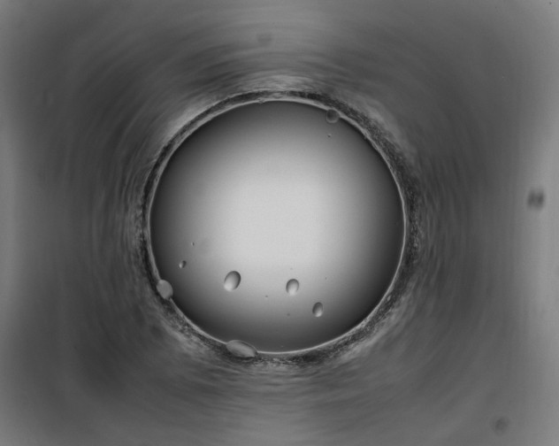 X0000100491073200806201647