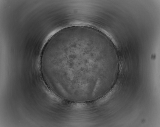 X0000100491074200806201647