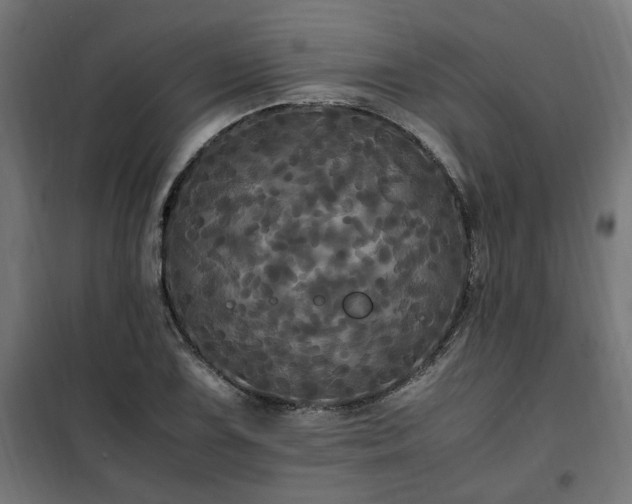 X0000100491075200806201647