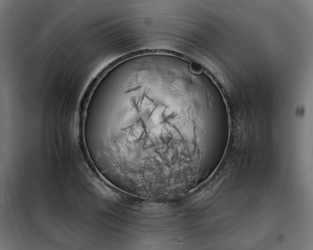 X0000100491076200806201647