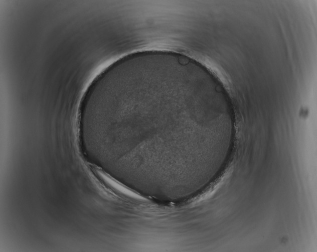 X0000100491077200806201647