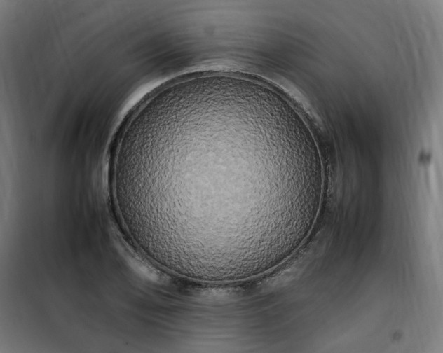 X0000100491078200806201647