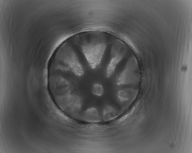 X0000100491079200806201647