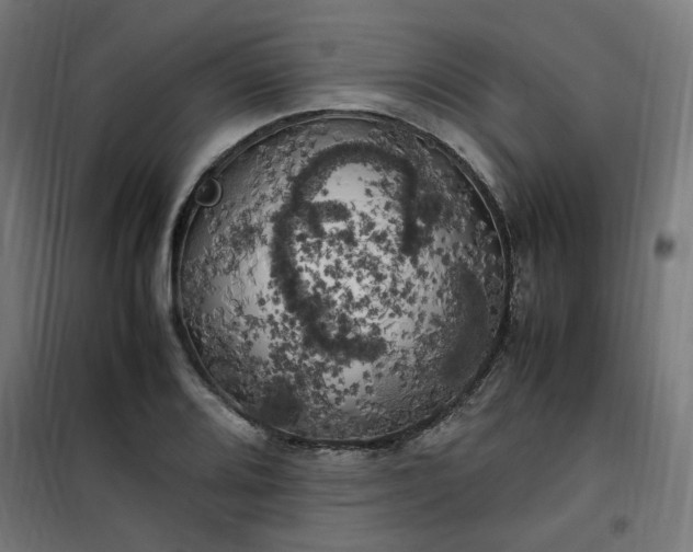 X0000100491080200806201647