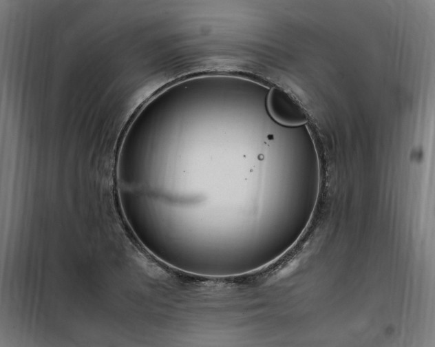 X0000100491081200806201647