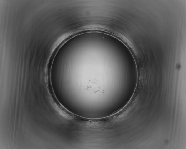 X0000100491082200806201647