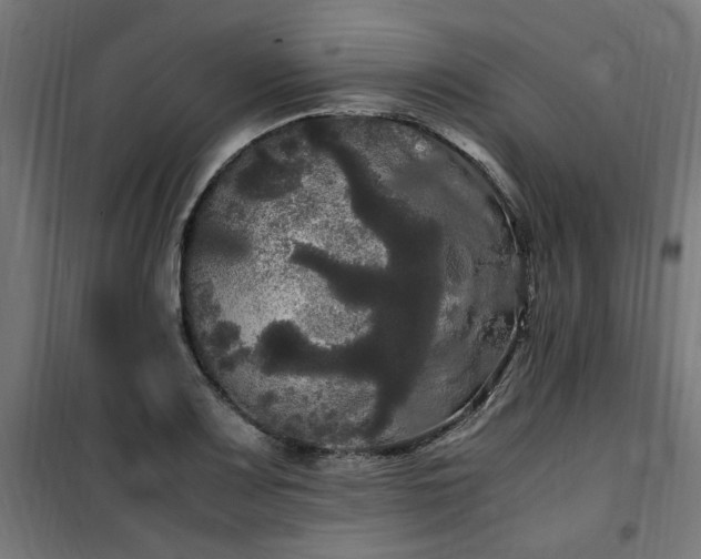 X0000100491083200806201647