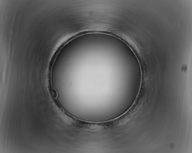 X0000100491085200806201647