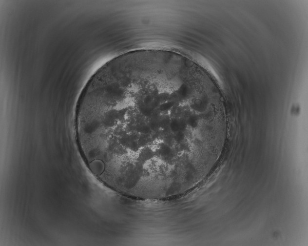 X0000100491087200806201647