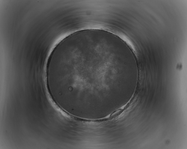 X0000100491088200806201647