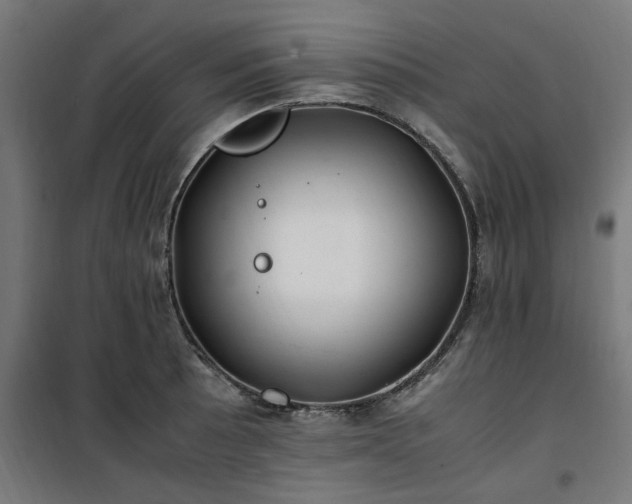 X0000100491089200806201647