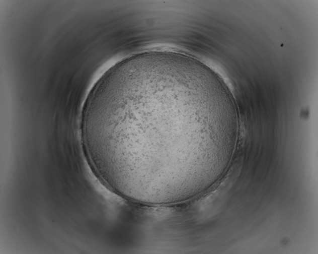 X0000100491090200806201647
