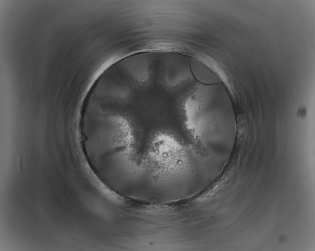 X0000100491091200806201647
