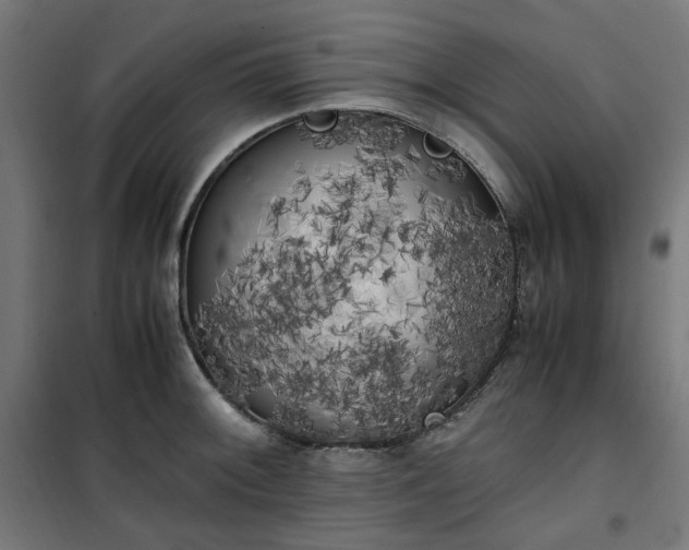 X0000100491092200806201647
