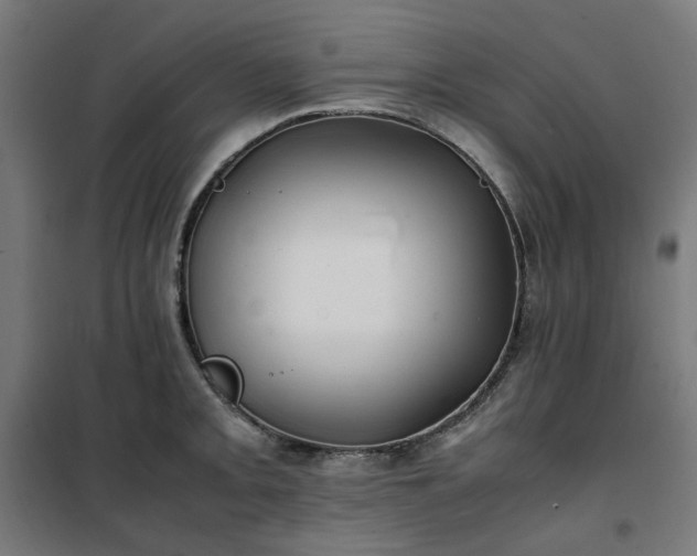 X0000100491093200806201647